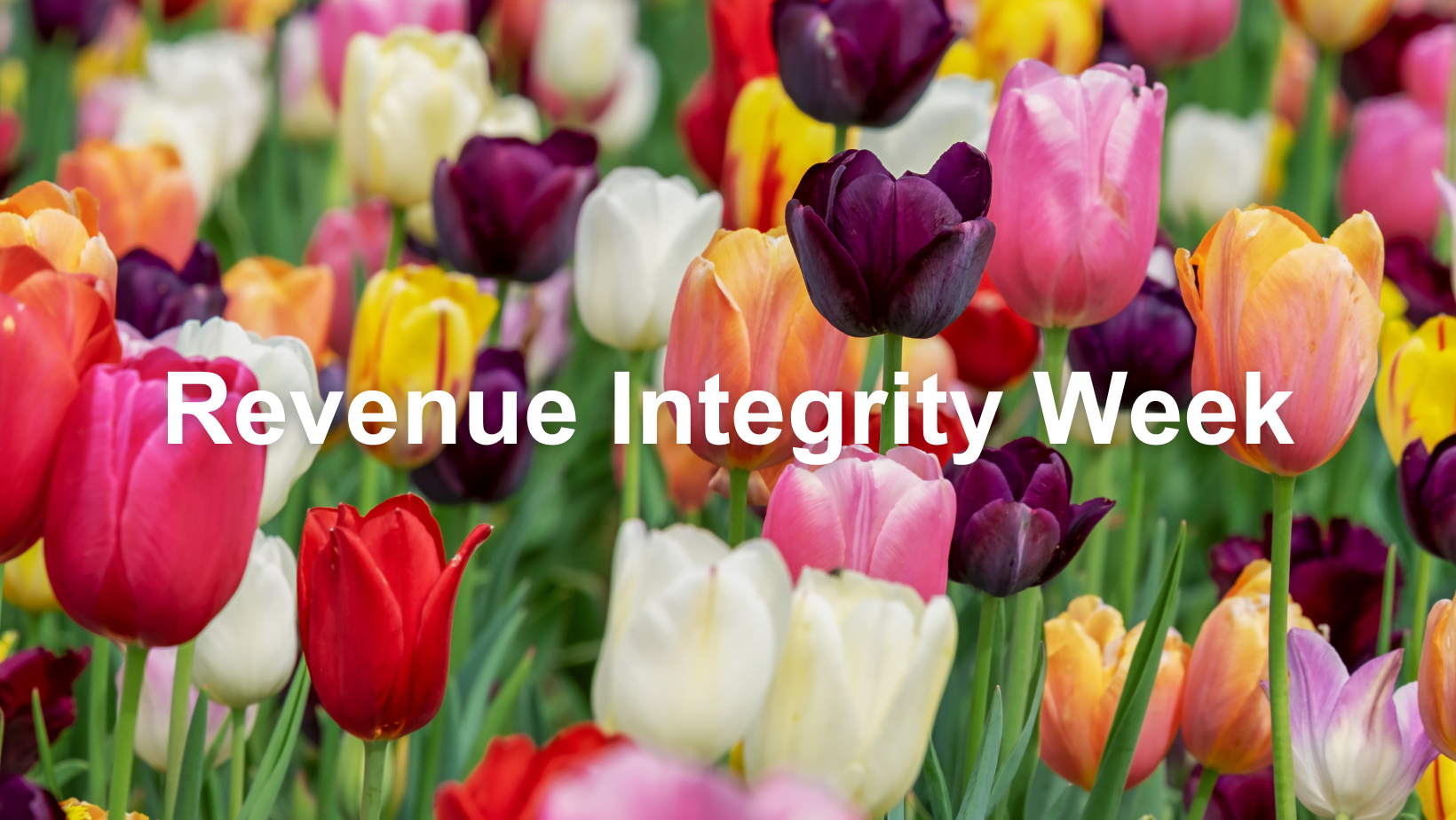 Revenue Integrity Week 2024